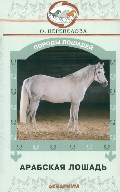 Арабская лошадь - Перепелова Ольга Валентиновна