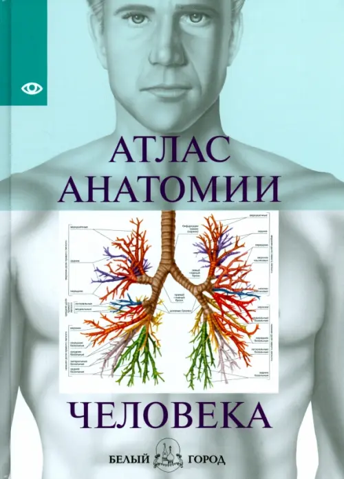 Атлас анатомии человека - 