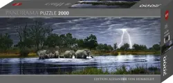 Пазл-панорама. Стадо слонов, 2000 элементов