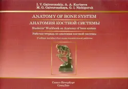 Анатомия костной системы. Рабочая тетрадь к учебному пособию на английском языке