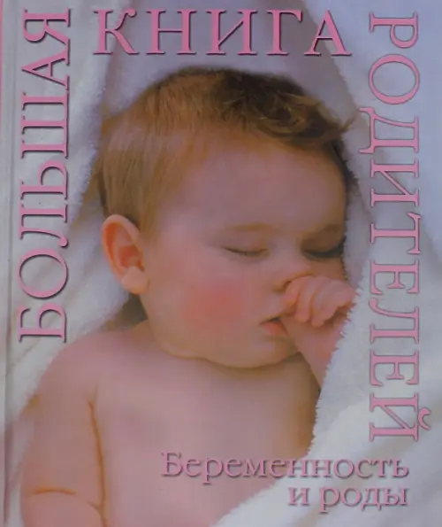 Беременность и роды. Большая книга родителей, 708.00 руб