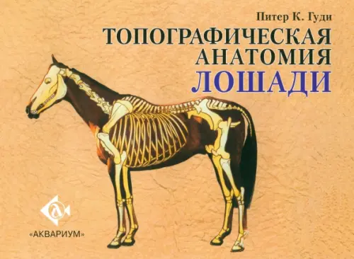 Топографическая анатомия лошади Аквариум-Принт, цвет оранжевый - фото 1