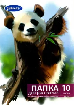 Папка для рисования "Панда", 10 листов, А4 (FK-2410)