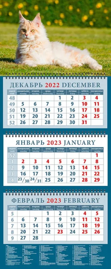 Календарь на 2023 год. Год кота. Приятно полежать на солнышке - купить  книгу с доставкой | Майшоп
