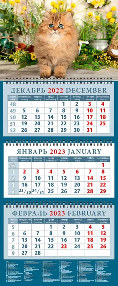 Календарь на 2023 год. Год кота. Очаровательный малыш - 