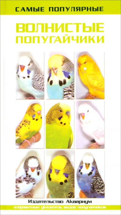 Самые популярные волнистые попугайчики - Винс Тео