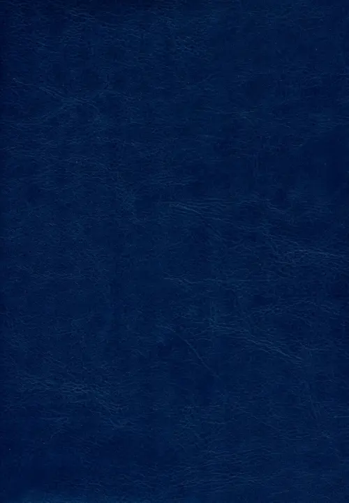 Ежедневник недатированный Berlin. Синий, 160 листов, А5