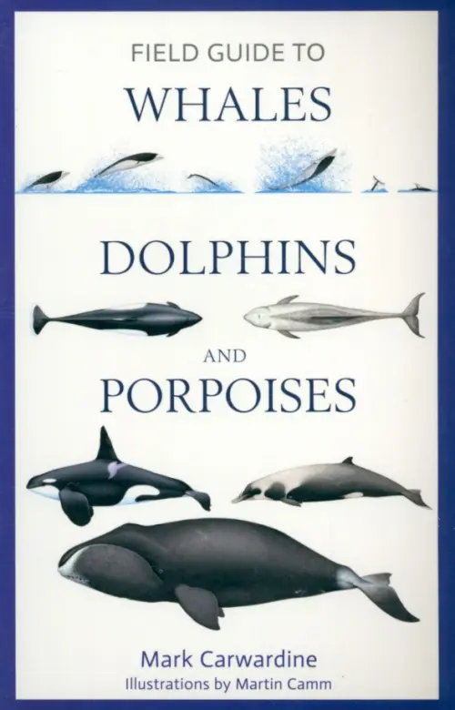 Field Guide to Whales, Dolphins and Porpoises