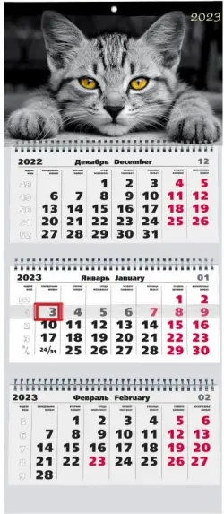 Календарь квартальный на 2023 год Домашние любимцы 3