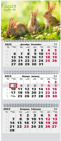 Календарь квартальный на 2023 год Символ года 1