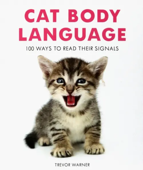 Cat Body Language. 100 Ways To Read Their Signals