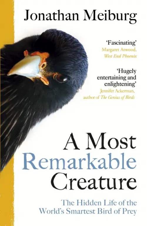 A Most Remarkable Creature. The Hidden Life of the World’s Smartest Bird of Prey