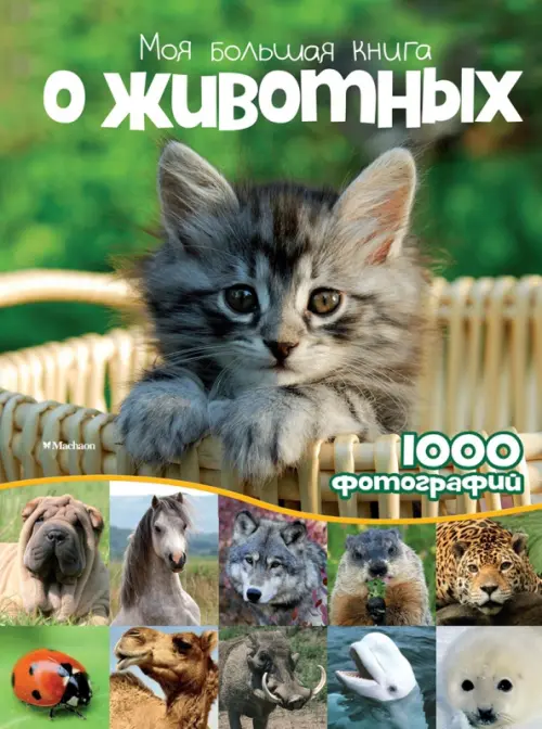 Моя большая книга о животных. 1000 фотографий - Куйе Наталья