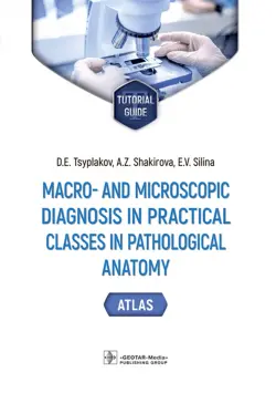 Macro- and microscopic diagnosis in practical classes in pathological anatomy