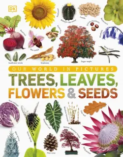 Trees, Leaves, Flowers & Seeds