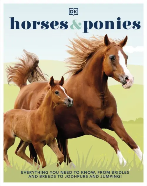 Horses & Ponies. Everything You Need to Know, From Bridles and Breeds to Jodhpurs and Jumping! - Stamps Caroline