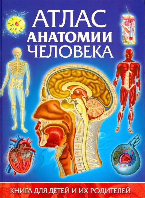Атлас анатомии человека. Книга для детей и их родителей, 377.00 руб