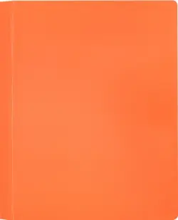 Папка 10 вкладышами А4 "Neon" оранжевая (DNE07V10OR)