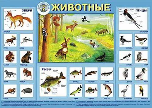 Детский плакат. Животные, 142.00 руб