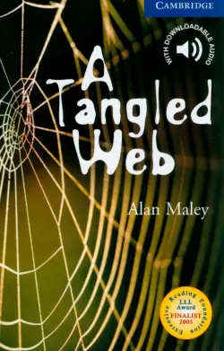 A Tanglet Web. Level 5