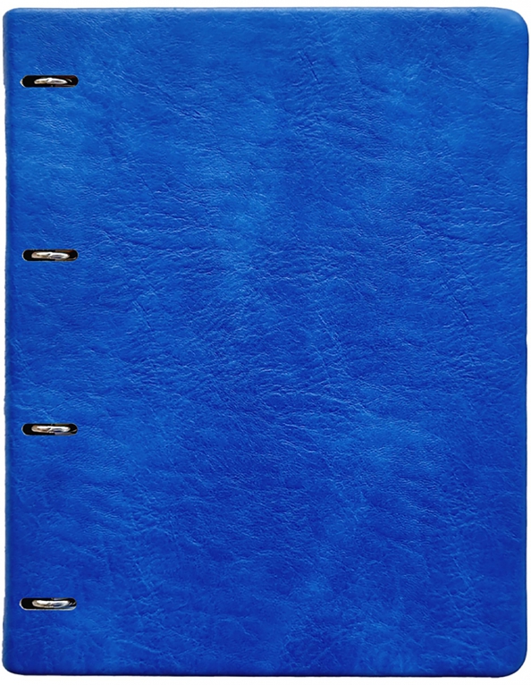 Тетрадь с кольцевым механизмом Turtle, синий, 120 листов, А4, клетка
