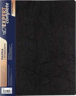 Папка с вкладышами Premier, А4, 60 листов, черная