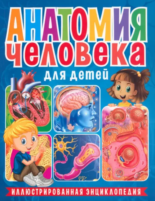 Анатомия человека для детей. Иллюстрированная энциклопедия, 221.00 руб