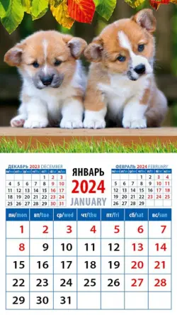 2024 Календарь Забавные щенки корги