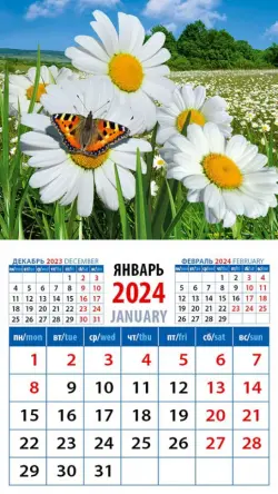 2024 Календарь Ромашки с бабочкой