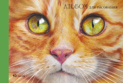 Альбом для рисования Рыжий котик, А4, 40 листов, 170.00 руб