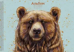 Альбом для рисования Медведь, 40 листов