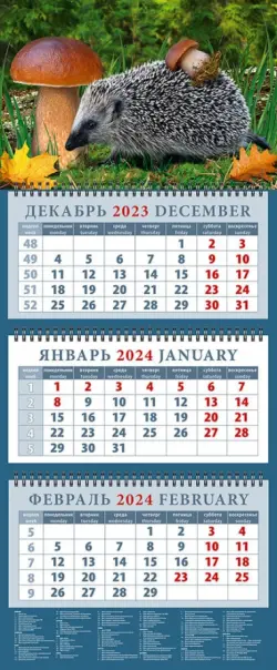 Календарь на 2024 год Ежик с грибом