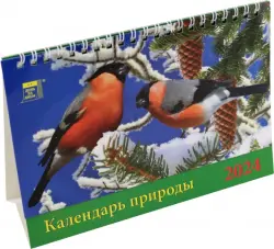 Календарь настольный на 2024 год Календарь природы