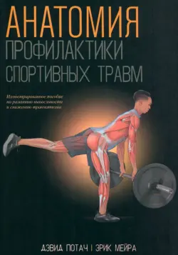 Анатомия профилактики спортивных травм
