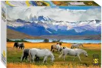 Пазл-1000 Лошади. Чили