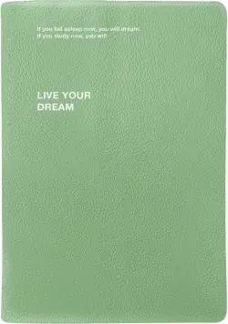 Ежедневник датированный на 2024 год Dream, зеленый, А5, 176 листов
