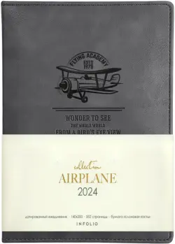 Ежедневник датированный на 2024 год Airplane, серый, А5, 176 листов