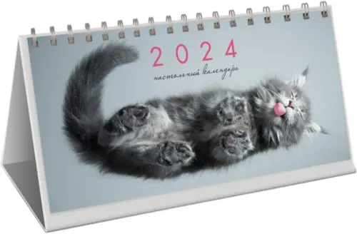 Календарь настольный на 2024 год Котики 1