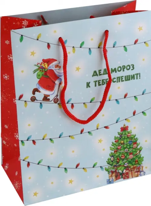 Пакет подарочный Дед мороз к тебе спешит!, 63.00 руб