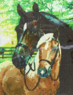 Алмазная мозаика Пара коней