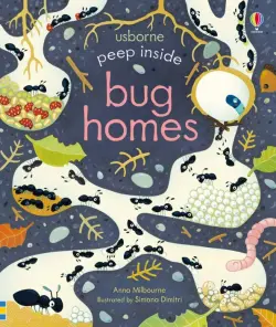 Peep Inside. Bug Homes