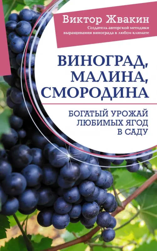 Виноград, малина, смородина. Богатый урожай любимых ягод в саду - Жвакин Виктор Владимирович