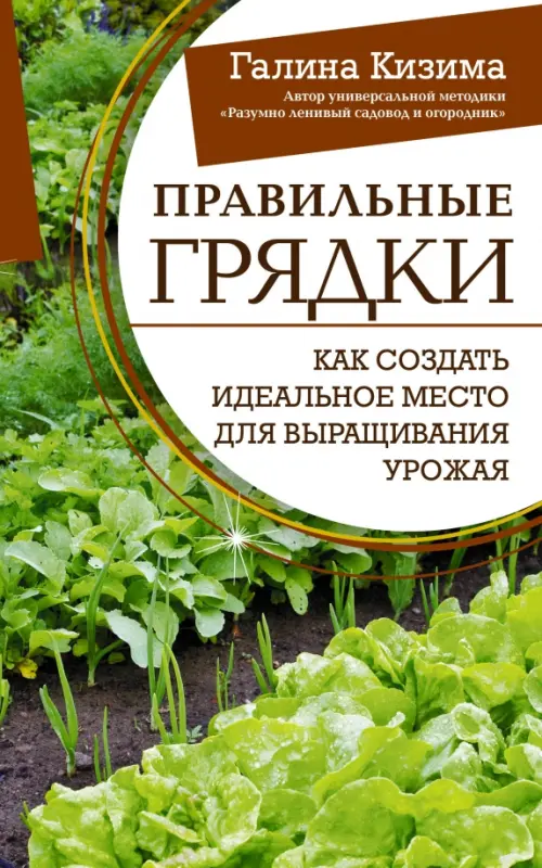 Правильные грядки. Как создать идеальное место для выращивания урожая - Кизима Галина Александровна